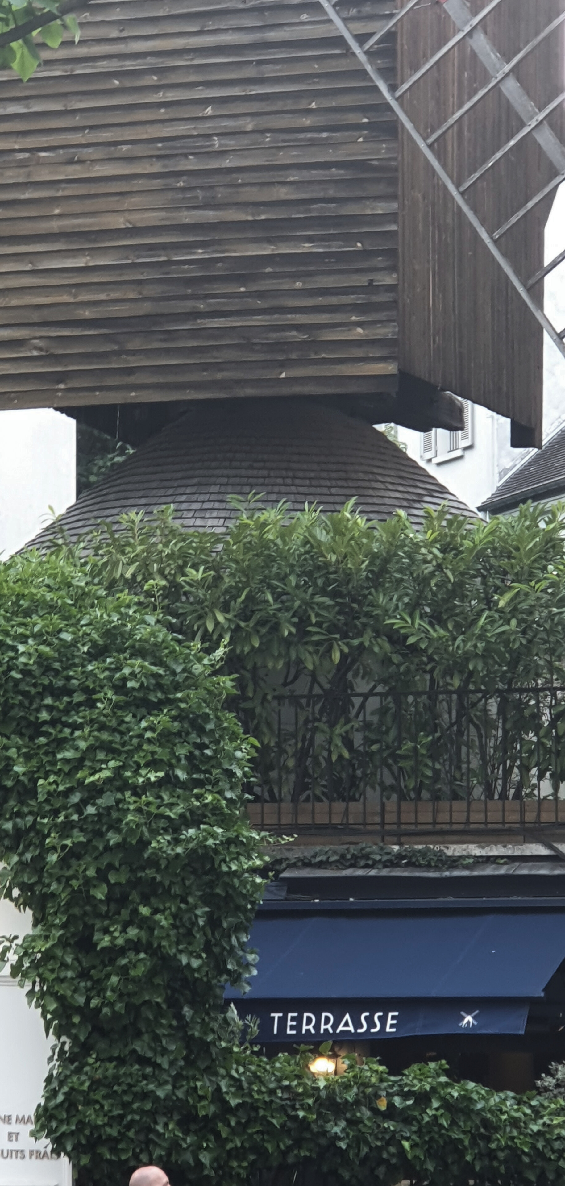 44d2ba31 4aa7 4eff 9525 1779780c399e